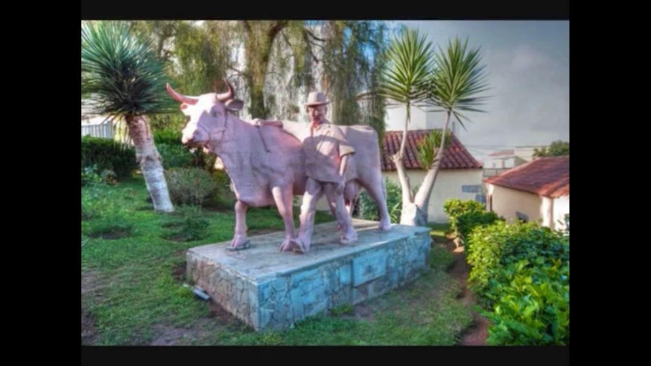 Carlo Home Las Palmas de Gran Canaria Eksteriør bilde